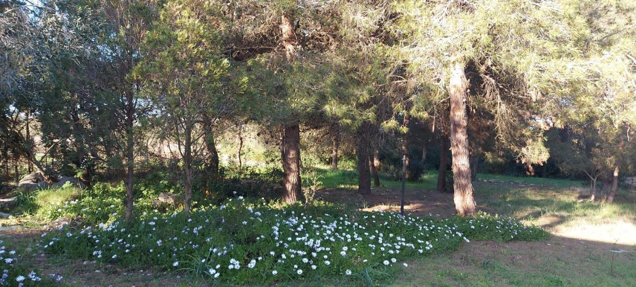 Villa Raffaella Lecce Dış mekan fotoğraf