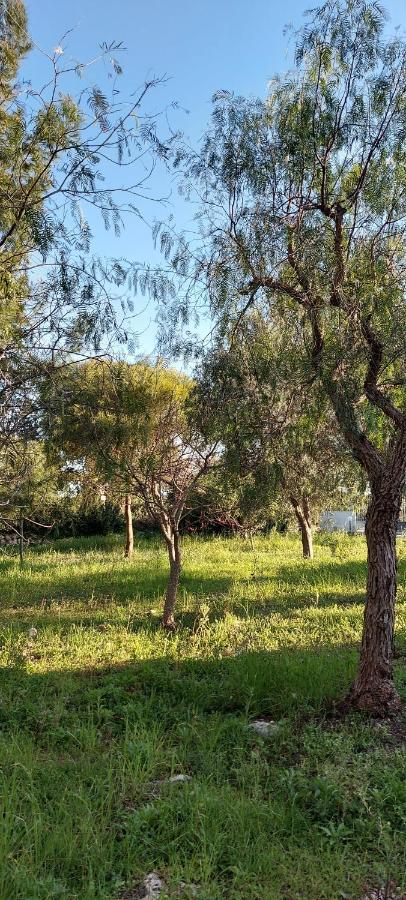 Villa Raffaella Lecce Dış mekan fotoğraf