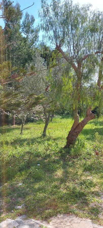 Villa Raffaella Lecce Dış mekan fotoğraf